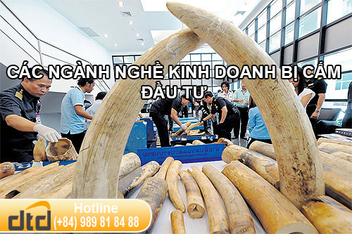 CÁC NGÀNH NGHỀ KINH DOANH BỊ CẤM ĐẦU TƯ